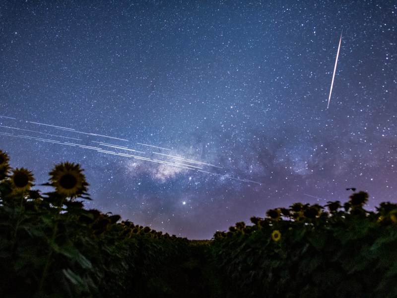 A composite image of 33 exposures captures reflective Starlink satellites, making them appear to streak over the sky of southern Brazil. Credit: NASA / Egon Filter